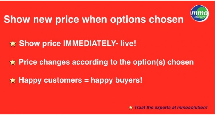 Show new price when OPTIONS chosen!